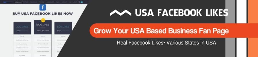 RealSocialz USA Facebook Page Likes