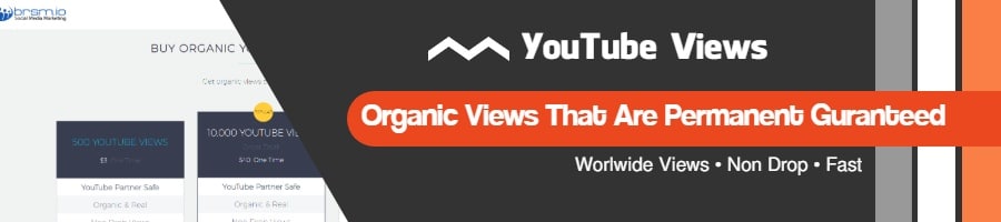 RealSocialz Organic YouTube views
