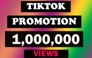 1 million TikTok views