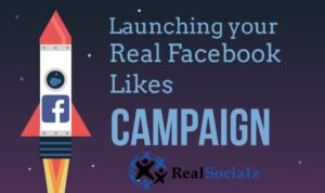 RealSocialz real Facebook likes campaign