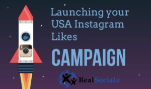 RealSocialz USA Instagram Likes Campaign
