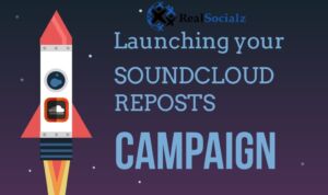 RealSocialz SoundCloud reposts campaign