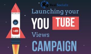 RealSocialz YouTube organic views campaign