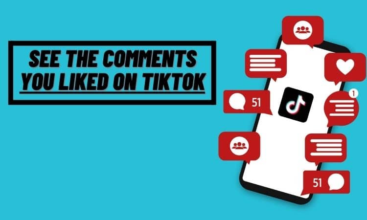 How to see the comments you liked on tiktok- Guide for TikTok Users