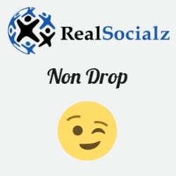 RealSocialz Non Drop Services