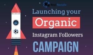 RealSocialz Organic Instagram Followers Campaign