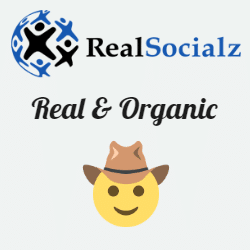 RealSocialz real organic social media boosting