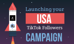 RealSocialz TikTok followers campaign